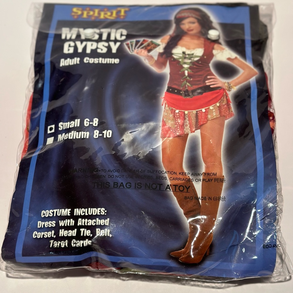 Spirit Halloween Mystic Gypsy Costume